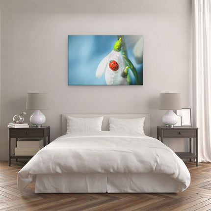 Canvas schilderij slaapkamer Lieveheersbeestje op een Sneeuwklokje Bloem