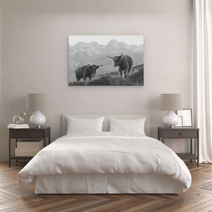 Canvas schilderij slaapkamer Twee Schotse Hooglanders in de Bergen - Zwart Wit