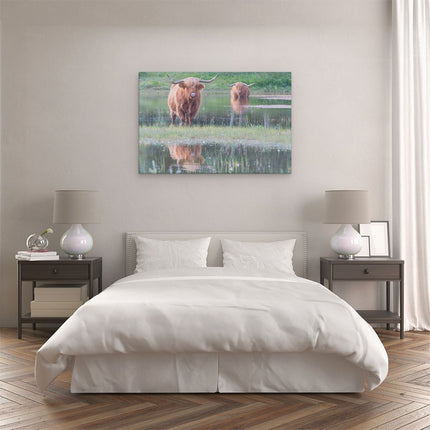 Canvas schilderij slaapkamer Twee Schotse Hooglanders in het Moeras