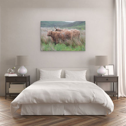 Canvas schilderij slaapkamer Twee Schotse Hooglanders in het Heuvelvelachtige Veld