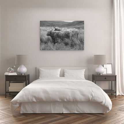 Canvas schilderij slaapkamer Twee Schotse Hooglanders in het Heuvelvelachtige Veld - Zwart Wit