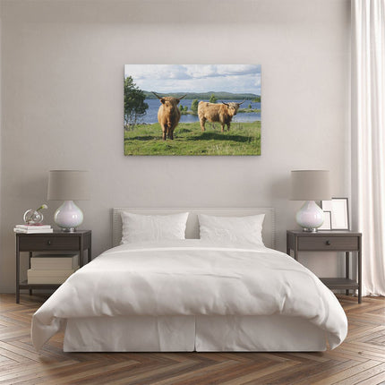 Canvas schilderij slaapkamer Twee Schotse Hooglanders bij het Water