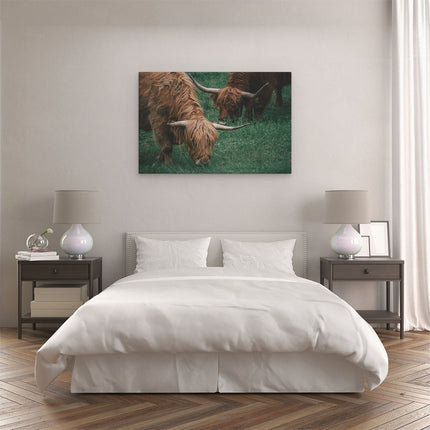 Canvas schilderij slaapkamer Twee Schotse Hooglanders grazen Gras