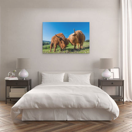 Canvas schilderij slaapkamer Twee Schotse Hooglanders op een Heuvel