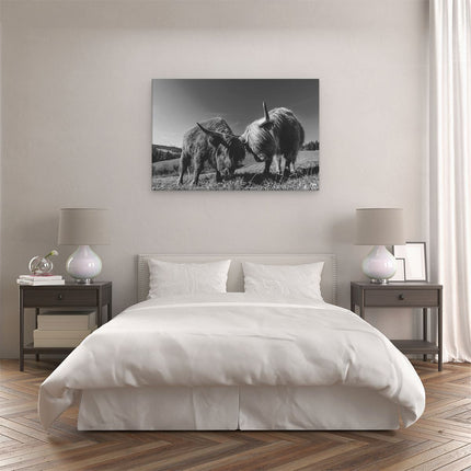 Canvas schilderij slaapkamer Twee Schotse Hooglanders op een Heuvel - Zwart Wit