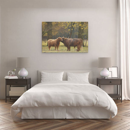 Canvas schilderij slaapkamer Twee Schotse Hooglanders Kussen Elkaar - Liefde