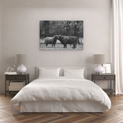 Canvas schilderij slaapkamer Twee Schotse Hooglanders Kussen Elkaar - Liefde - Zwart Wit