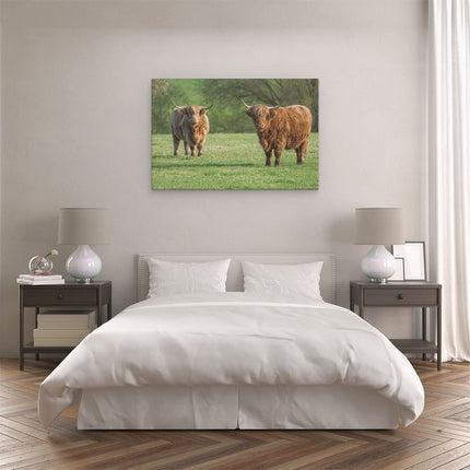 Canvas schilderij slaapkamer Twee Schotse Hooglanders op het Gras