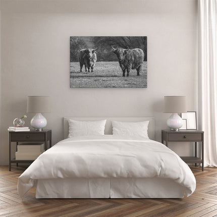 Canvas schilderij slaapkamer Twee Schotse Hooglanders op het Gras - Zwart Wit