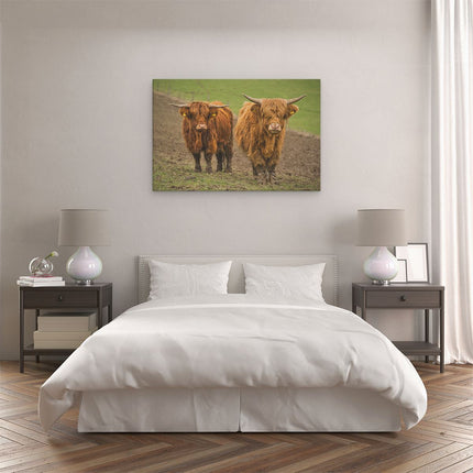 Canvas schilderij slaapkamer Twee Schotse Hooglanders in de Weide