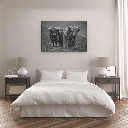 Canvas schilderij slaapkamer Twee Schotse Hooglanders in de Weide - Zwart Wit