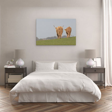 Canvas schilderij slaapkamer Twee Schotse Hooglanders Koeien Lopen Weg