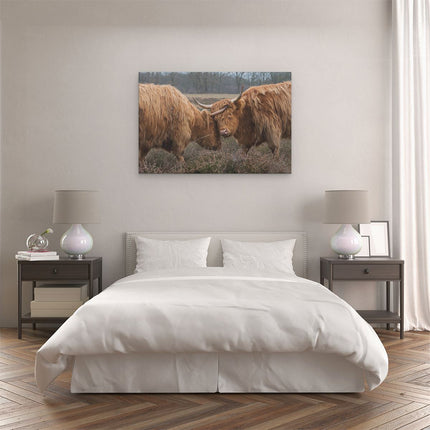 Canvas schilderij slaapkamer Twee Schotse Hooglanders Knuffelen Elkaar