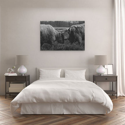 Canvas schilderij slaapkamer Twee Schotse Hooglanders Knuffelen Elkaar - Zwart Wit