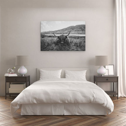 Canvas schilderij slaapkamer Schotse Hooglander ligt in het Gras - Zwart Wit