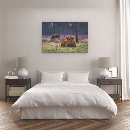 Canvas schilderij slaapkamer Schotse Hooglanders in de Weide