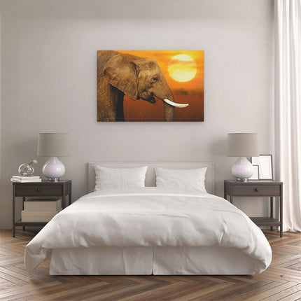 Canvas schilderij slaapkamer Olifantenkop bij Zonsondergang - Olifant