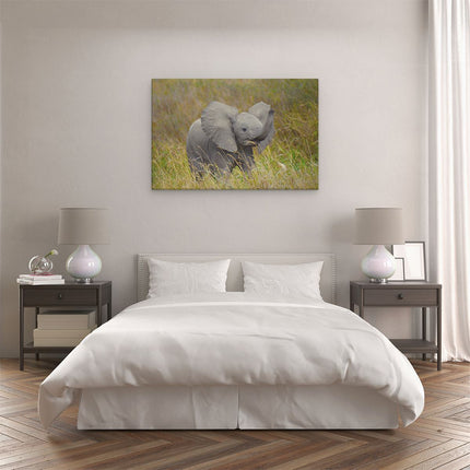 Canvas schilderij slaapkamer Olifanten Baby in het Gras - Olifant