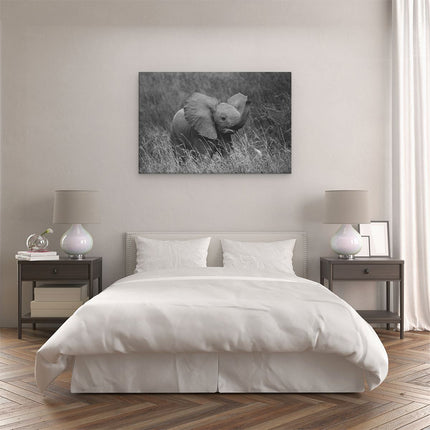 Canvas schilderij slaapkamer Olifanten Baby in het Gras - Olifant - Zwart Wit