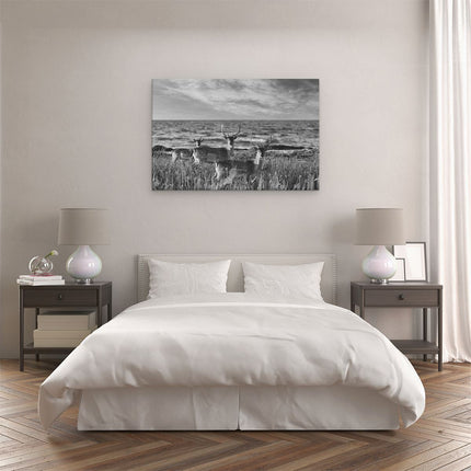 Canvas schilderij slaapkamer Drie Herten aan de Zee tijdens Zonsondergang - Zwart Wit