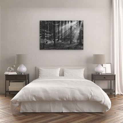 Canvas schilderij slaapkamer Bos met Zon tussen de Bomen - Zwart Wit