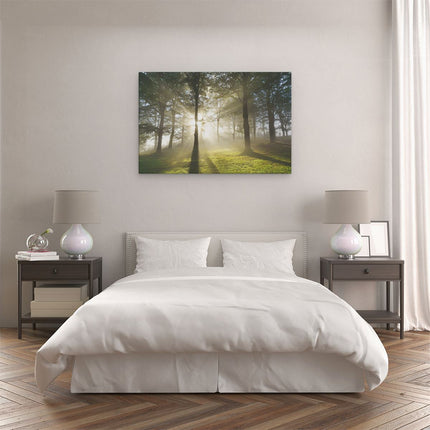 Canvas schilderij slaapkamer Zon tussen de Bomen