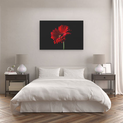 Canvas schilderij slaapkamer Rode Gerbera Bloem 