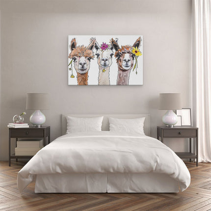 Canvas schilderij slaapkamer Drie Lama's met Bloemen op hun Hoofd