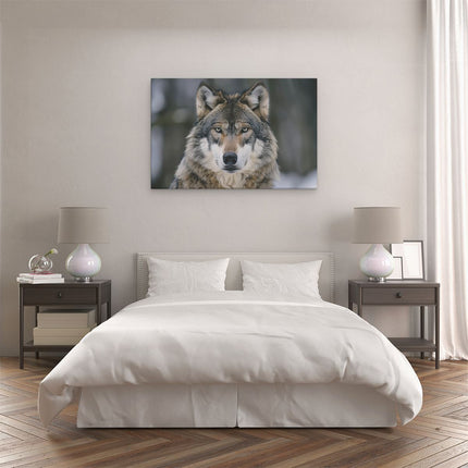 Canvas schilderij slaapkamer De Wolf Kijkt naar de Camera