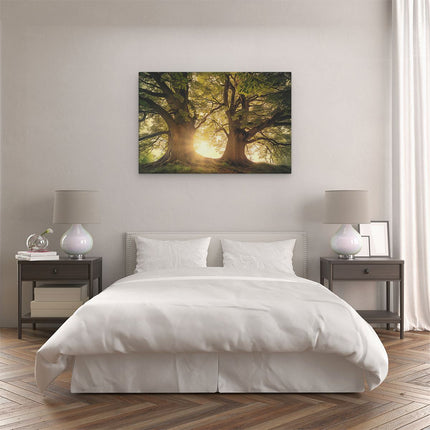 Canvas schilderij slaapkamer De Zon schijnt door de Bomen