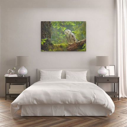 Canvas schilderij slaapkamer Sneeuwuil Zat op een Boomtak