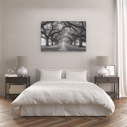 Canvas schilderij slaapkamer Zwart Wit Beeld van een met Bomen Omzoomd Pad