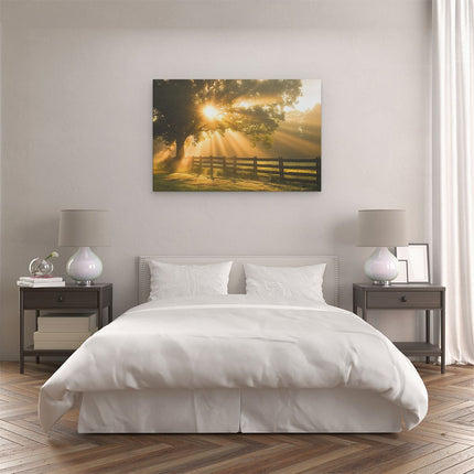 Canvas schilderij slaapkamer Zonnestralen Komen door een Boom in een Veld