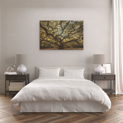 Canvas schilderij slaapkamer Oude Eik in Charleston, Zuid-Carolina