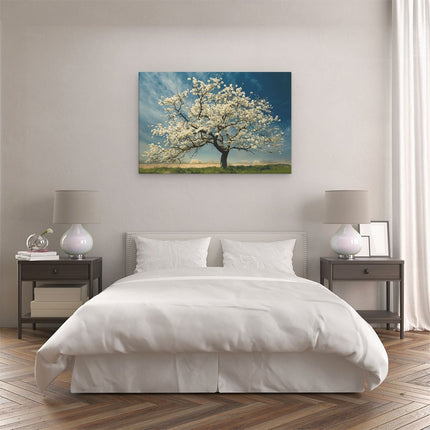 Canvas schilderij slaapkamer Witte Boom in een Veld