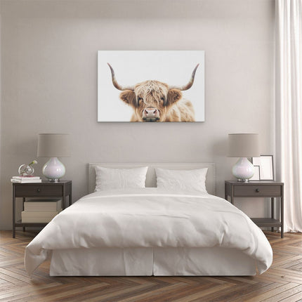 Canvas schilderij slaapkamer Schotse Hooglandkoe met Hoorns