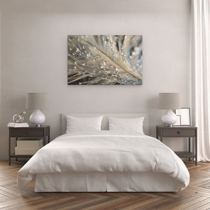 Canvas schilderij slaapkamer Waterdruppels op een Veer