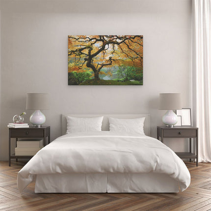 Canvas schilderij slaapkamer Oude Knoestige Boom