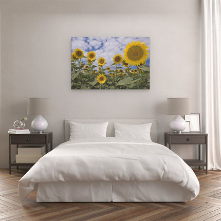 Canvas schilderij slaapkamer Zonnebloemen op de Voorgrond