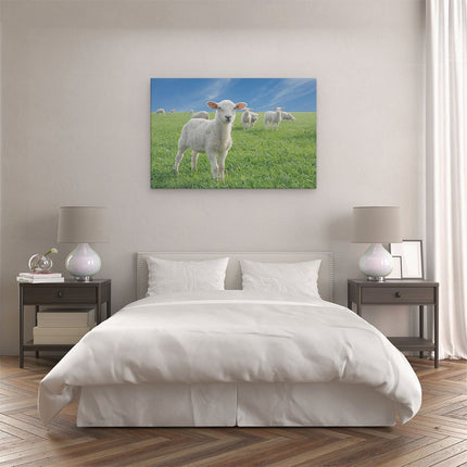 Canvas schilderij slaapkamer Lammetjes