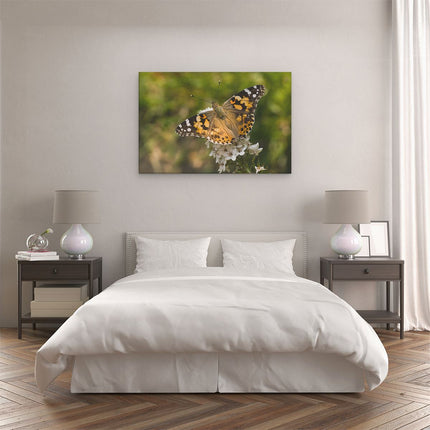 Canvas schilderij slaapkamer Vlinder op Bloem