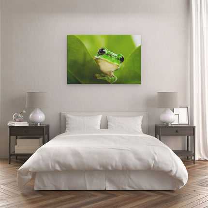 Canvas schilderij slaapkamer Kikker