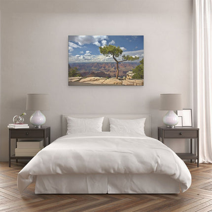 Canvas schilderij slaapkamer Grand Canyon met Boom