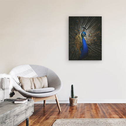 Canvas Schilderij Kamer Blauwe Pauw Met Grote Veren