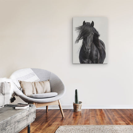 Canvas Schilderij Kamer Zwart Paard met Lange Manen