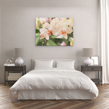 Canvas Schilderij Slaapkamer Gestreepte Witte Orchidee Bloemen