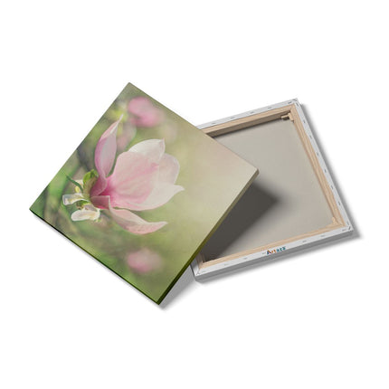 Canvas schilderij detail Roze Magnolia Bloem 