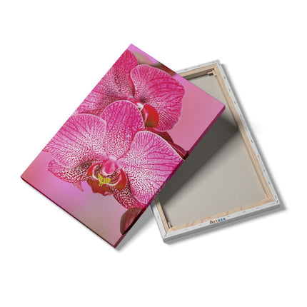 Canvas schilderij details Roze Orchidee Bloemen