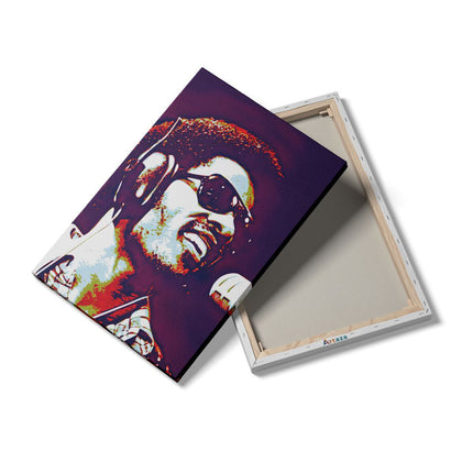 Canvas schilderij details Stevie Wonder
