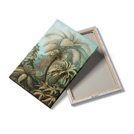 Canvas schilderij details Filicinae 92 - Palmbomen - Ernst Haeckel